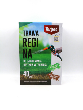 Regina 1 kg nasiona trawy do uzupełniania ubytków w trawniku