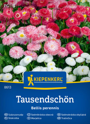 Stokrotka Tausendschön - Kiepenkerl