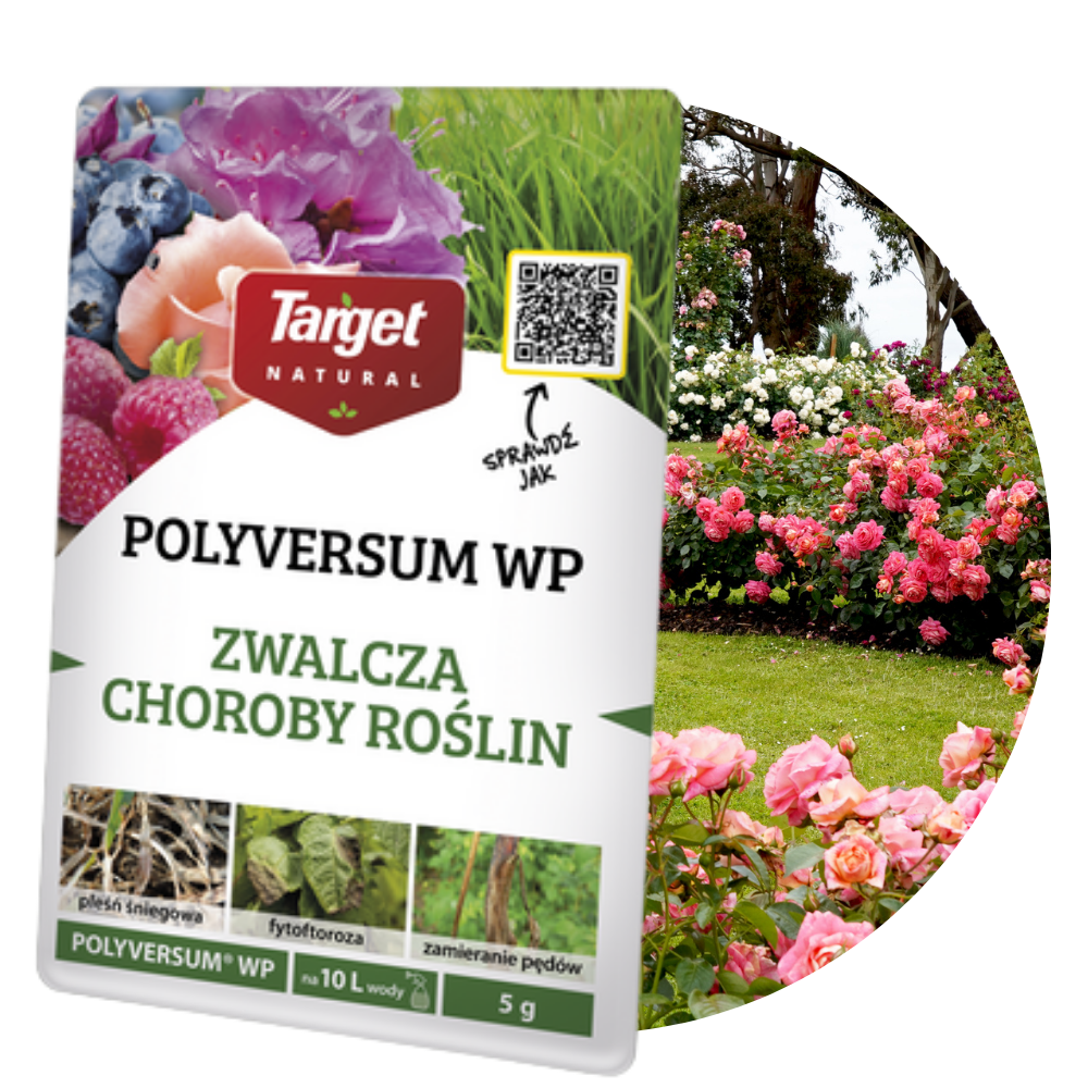 POLYVERSUM WP Uniwersalny 5 g Target 2 szt.
