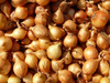 Cebula szalotka żółta Golden Gourment 250 g
