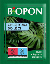 Domyślna nazwa